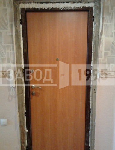 Дверь с панелью ламинат