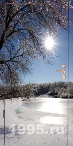 Дверь с фотопанелью в квартиру Дверь с фотопанелью в квартиру