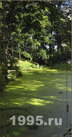 Металлическая дверь с фотопанелью в квартиру Металлическая дверь с фотопанелью в квартиру