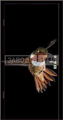Фотопанель Колибри Фотопанель Колибри