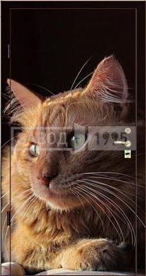 Фотопанель Кот Фотопанель Кот