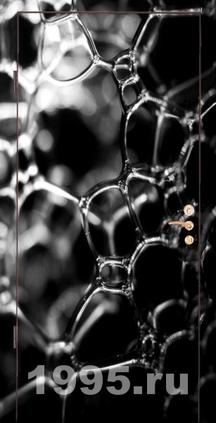 Двери МДФ с фотопанелью № 5 Двери МДФ с фотопанелью № 5