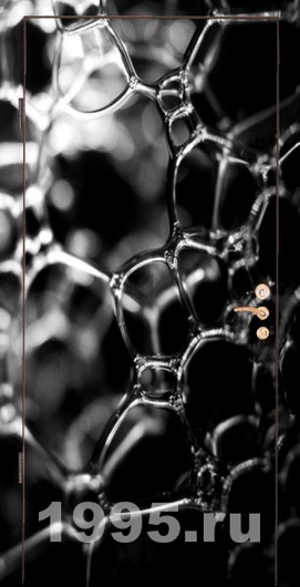 Двери МДФ с фотопанелью № 5