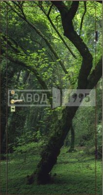 Фотопанель Летний лес Фотопанель Летний лес