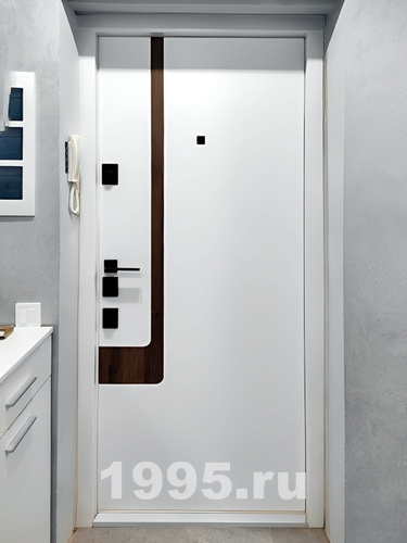 Дверь с матовым стеклом, вид изнутри Дверь с матовым стеклом, вид изнутри