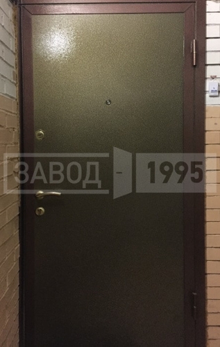 Входная дверь с порошковым напылением Входная дверь с порошковым напылением