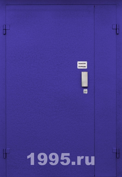 Тамбурная дверь с нитроэмалью Тамбурная дверь с нитроэмалью