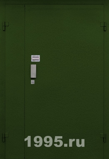 Металлическая тамбурная дверь с порошковым напылением и кодовым замком