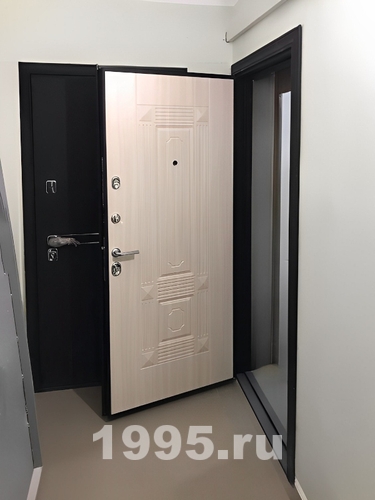 Входная квартирная дверь Входная квартирная дверь