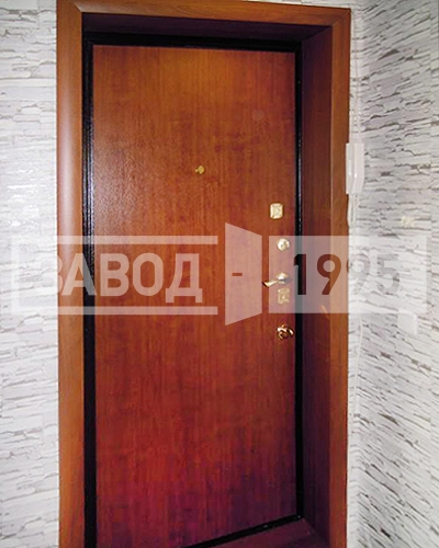 Дверь с панелью ламинат